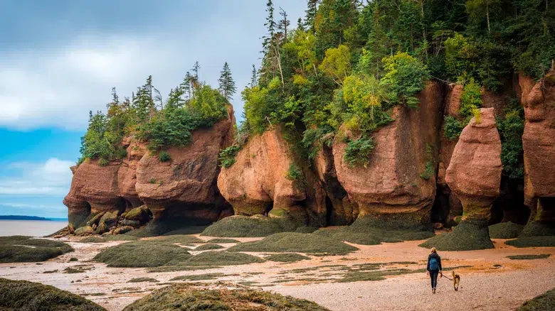 Hopewell Rocks, Nuevo Brunswick