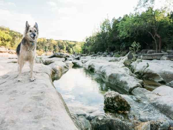 Hoyo de Campbell-pozos cerca de Austin