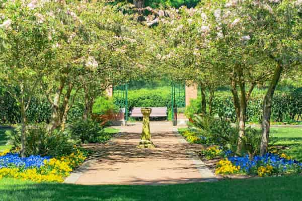 Huele las rosas en el jardín de las flores de Shakespeare