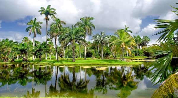 Ir a los jardines
