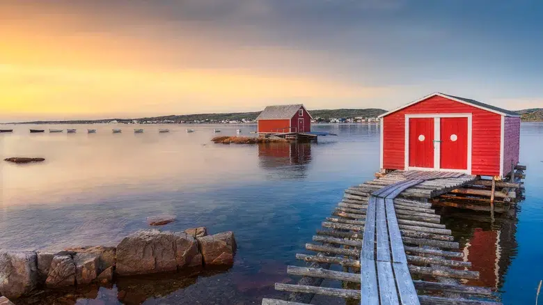 Isla Fogo, Terranova