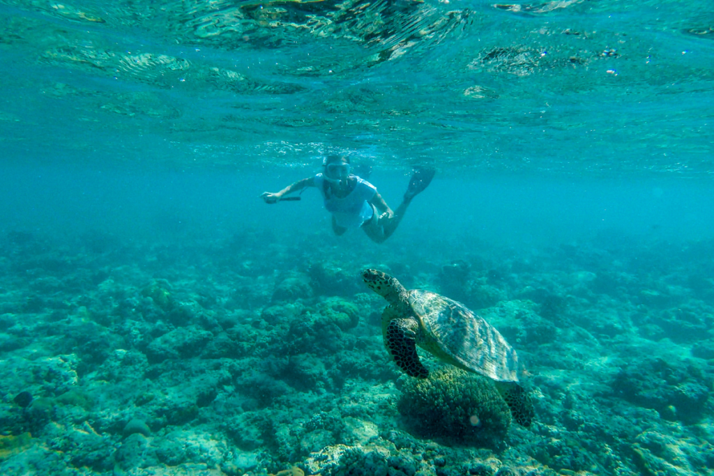 Isla Mujeres-Lugares turísticos en la Riviera Maya