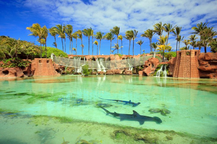 Isla Paraíso Atlantis