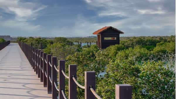 Isla Púrpura-Guía de Viaje en Al-Khor