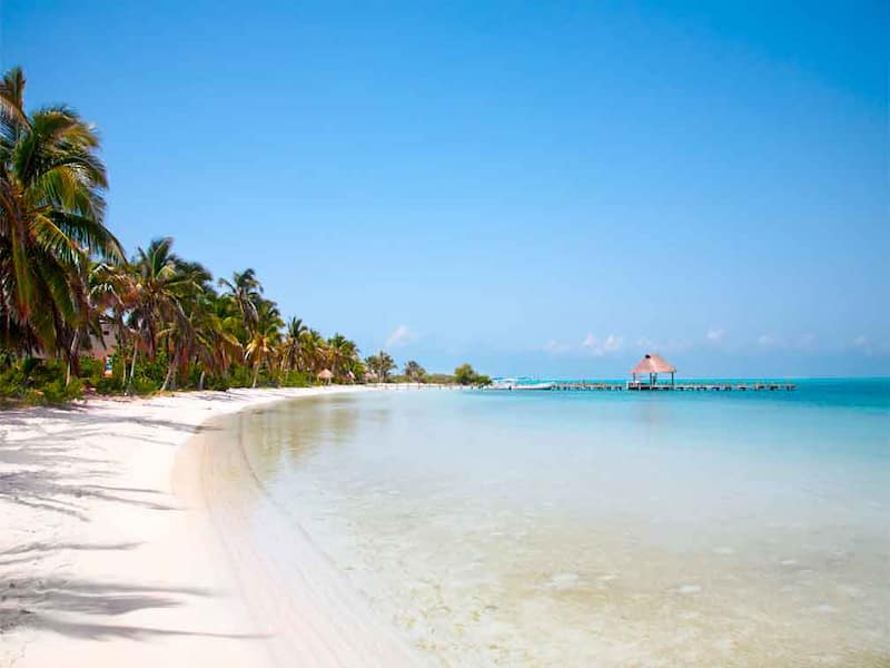 Islas en Cozumel que debes Visitar-Isla Contoy