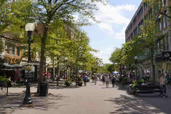 Ithaca Commons