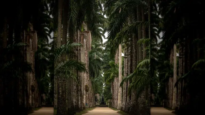 Jardim Botânico