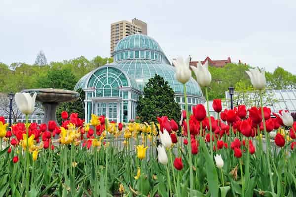 Jardín Botánico de Brooklyn-Atracciones turísticas en Brooklyn