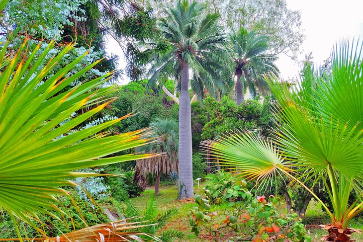 Jardín Botánico de Villa Thuret
