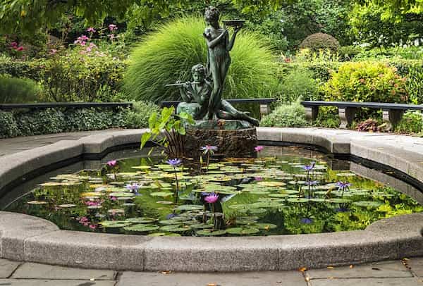 Jardín de invernadero