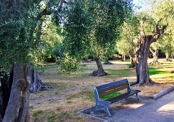 Jardín de la Arena de Cimiez