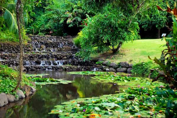 Jardines Vaipahi-Lugares de Tahití