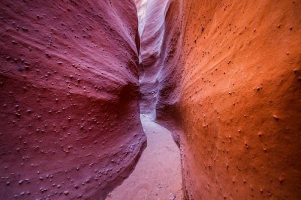 Juega Peek-A-Boo en un Slot Canyon