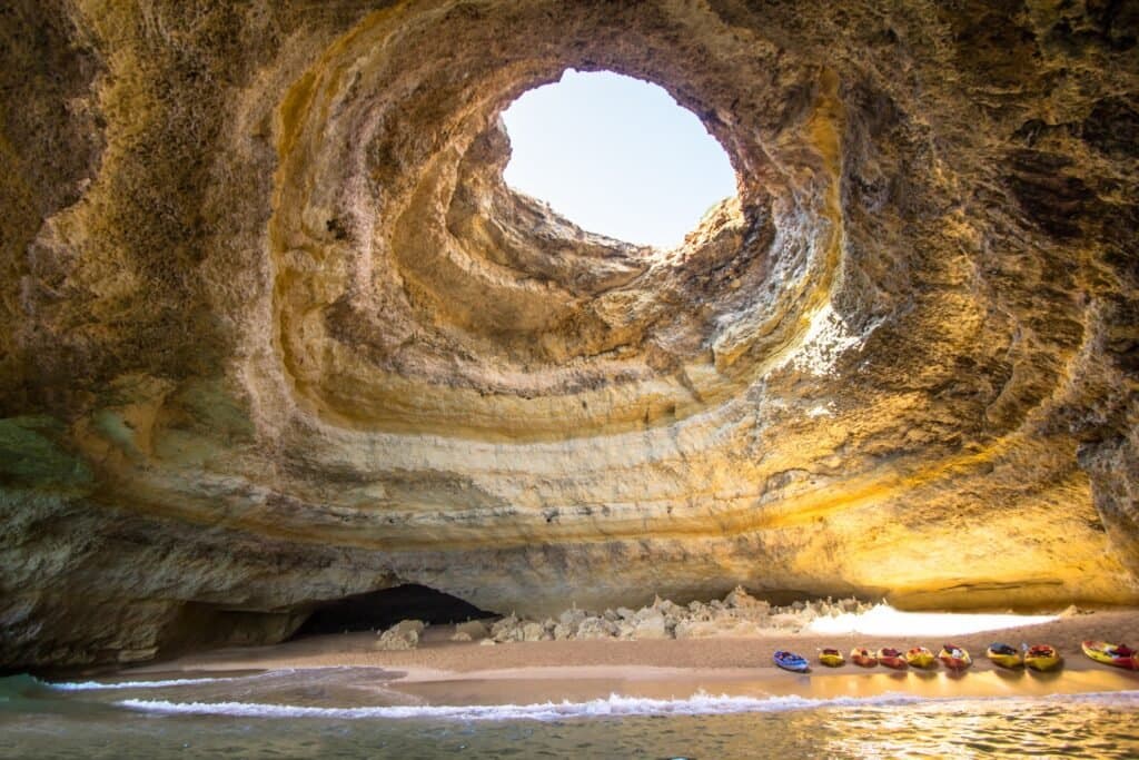Kayak o SUP para un encuentro de cerca