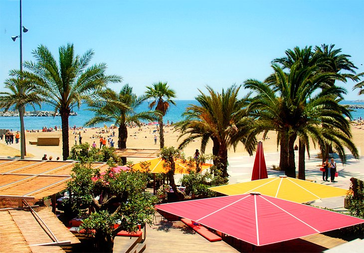 La Barceloneta