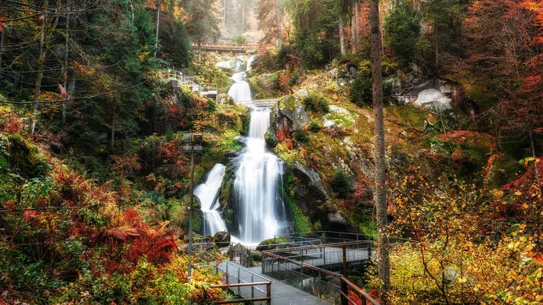 La Selva Negra, Alemania
