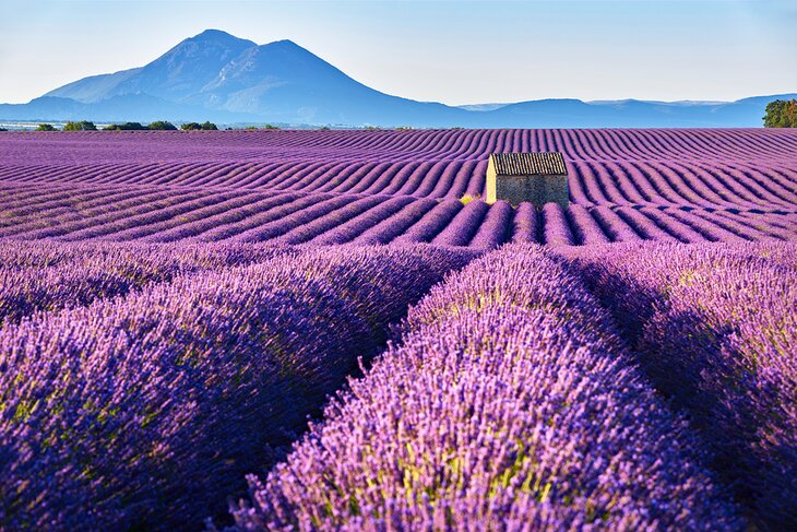La encantadora campiña de Provenza