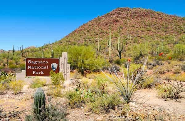 La historia del Parque Nacional Saguaro