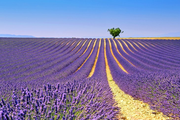 La mejor temporada para visitar el sur de Francia
