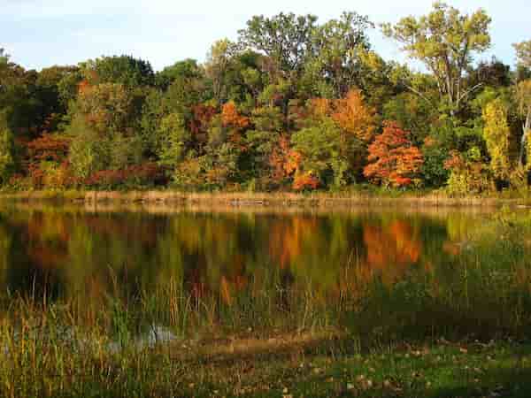 Lago Erie