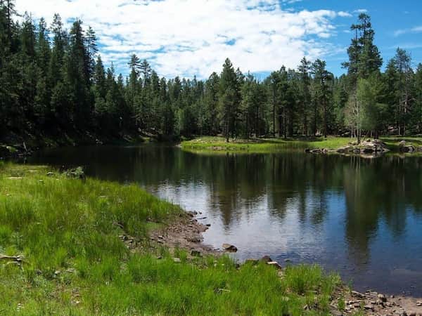 Lago Knoll-Senderismo en Mogollon Rim