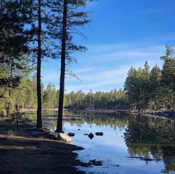 Lago Willow Springs-Senderismo en Mogollon Rim