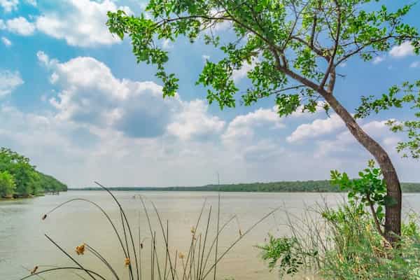 Lake Mineral Wells State Park & Trailway