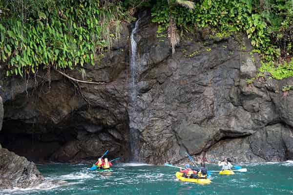 Las Diversas Actividades
