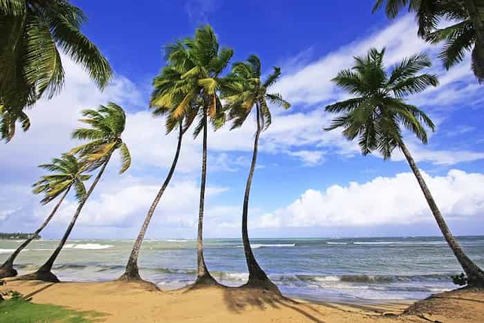 Las Terrenas