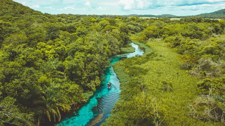 Las aguas cristalinas de Bonito (Mato Grosso do Sul)