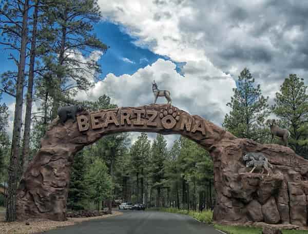 Lo más destacado del segmento 2 - Bearizona