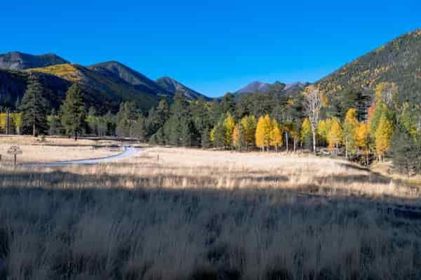 Lockett Meadow Aspen Drive