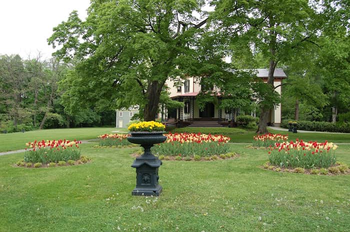 Locust Grove