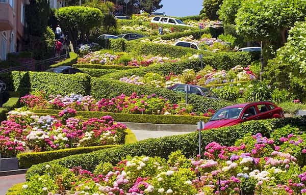 Lombard Street la calle más sinuosa - lugares para visitar en San Francisco