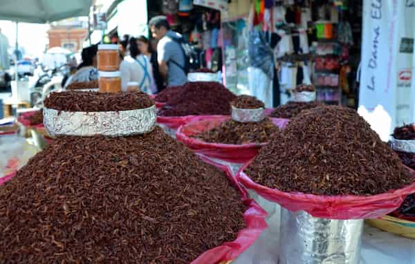Los chapulines están llenos de vitaminas