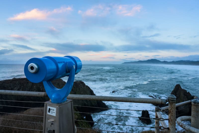 Los mejores momentos para observar ballenas grises-observación de ballenas en la costa de Oregón