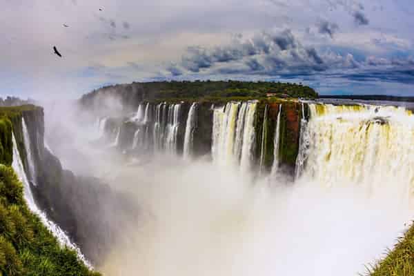 Los pájaros viven dentro de las cataratas