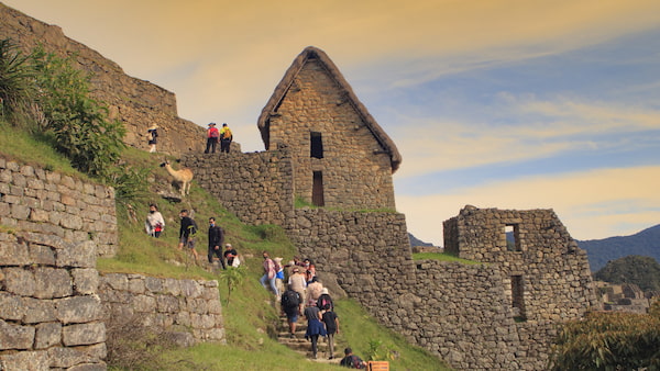 Machu Pichu - Deja que el autobús tome la tensión 5
