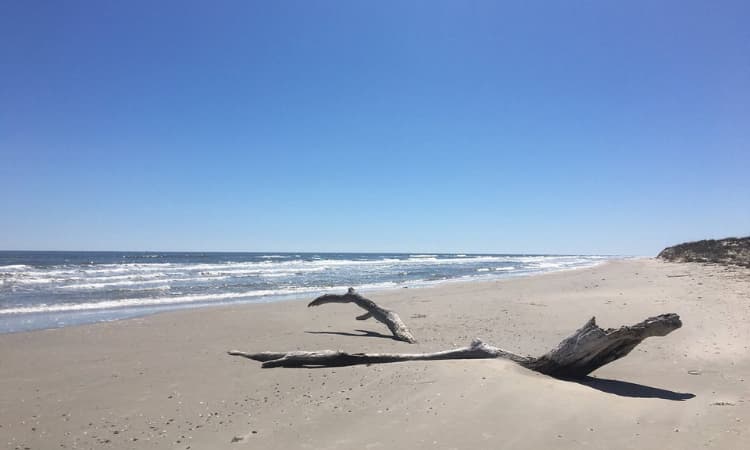 Matagorda Island-playas en dallas texas