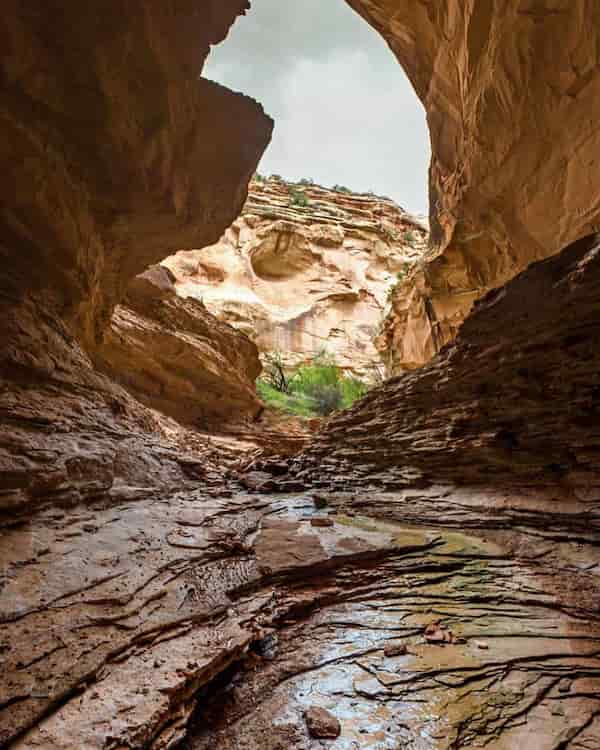 Mee cañón-Caminatas Cerca de Grand Junction