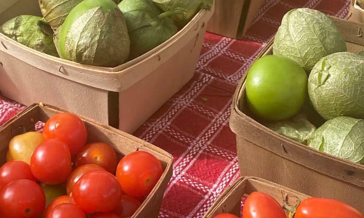 Mercado de agricultores al aire libre de naples