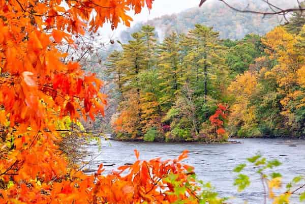 Mira algunos colores de otoño