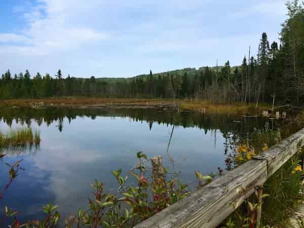 Mirador de Deadman's Hill-Otoño en Michigan