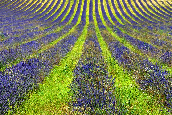 Monieux