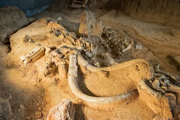 Monumento Nacional del Mamut de Waco