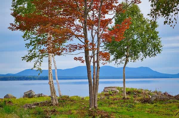 Moosehead Lake