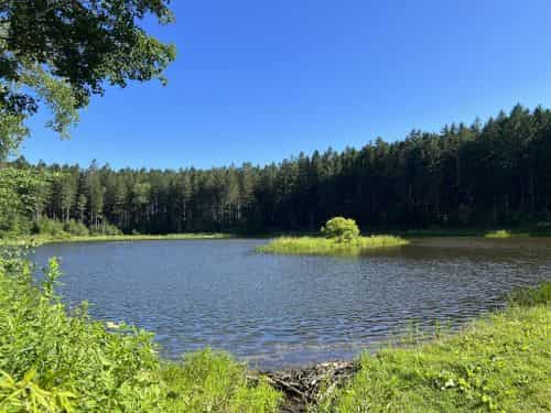 Morgan Hill Loop Trail