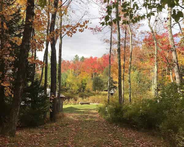 Mountain Top Arboretum