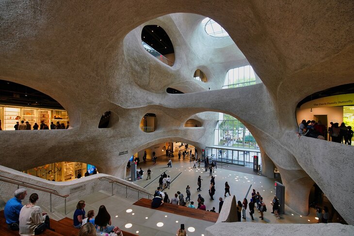 Museo Americano de Historia Natural