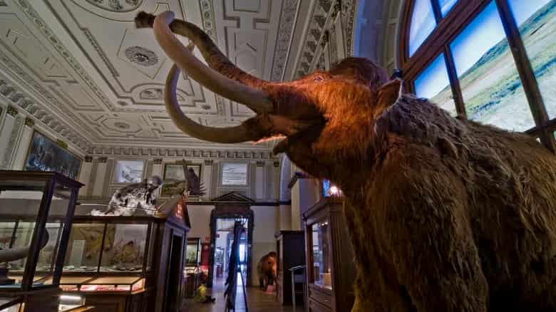 Museo de Historia Natural de Viena